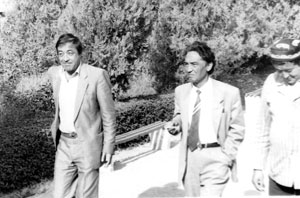 ���� ������