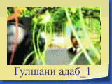 Гулшани адаб_1