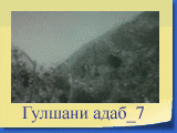 Гулшани адаб_7
